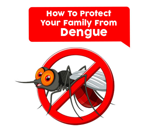 ^2B544C0314D4D4A1AAF0C19E629EB778152FC4B4E42957906C^pimgpsh_fullsize_distr How to protect your family from dengue
